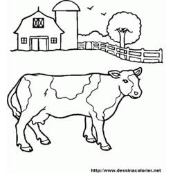 Página para colorir: Carne bovina (animais) #1347 - Páginas para Colorir Imprimíveis Gratuitamente