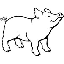 Página para colorir: Carne de porco (animais) #17622 - Páginas para Colorir Imprimíveis Gratuitamente