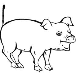 Página para colorir: Carne de porco (animais) #17631 - Páginas para Colorir Imprimíveis Gratuitamente
