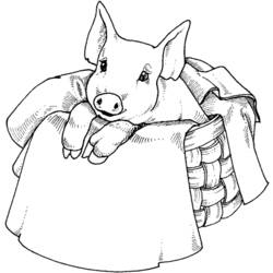 Página para colorir: Carne de porco (animais) #17784 - Páginas para Colorir Imprimíveis Gratuitamente