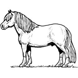 Página para colorir: Cavalo (animais) #2162 - Páginas para Colorir Imprimíveis Gratuitamente