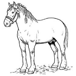 Página para colorir: Cavalo (animais) #2168 - Páginas para Colorir Imprimíveis Gratuitamente