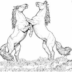 Página para colorir: Cavalo (animais) #2170 - Páginas para Colorir Imprimíveis Gratuitamente