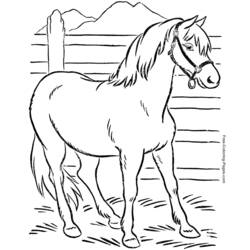 Página para colorir: Cavalo (animais) #2197 - Páginas para Colorir Imprimíveis Gratuitamente