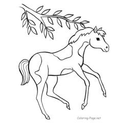 Página para colorir: Cavalo (animais) #2202 - Páginas para Colorir Imprimíveis Gratuitamente