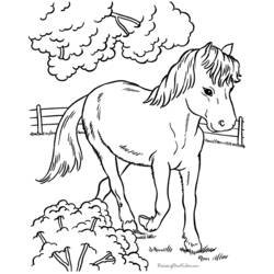 Página para colorir: Cavalo (animais) #2212 - Páginas para Colorir Imprimíveis Gratuitamente
