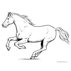 Página para colorir: Cavalo (animais) #2237 - Páginas para Colorir Imprimíveis Gratuitamente