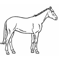 Página para colorir: Cavalo (animais) #2278 - Páginas para Colorir Imprimíveis Gratuitamente