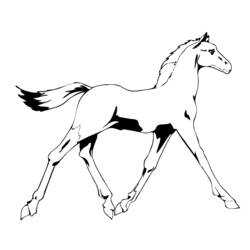 Página para colorir: Cavalo (animais) #2297 - Páginas para Colorir Imprimíveis Gratuitamente