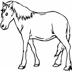 Página para colorir: Cavalo (animais) #2299 - Páginas para Colorir Imprimíveis Gratuitamente