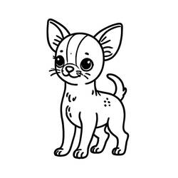 Desenho Chihuahua (Animais) #219793 para imprimir e colorir