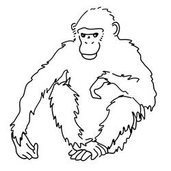 Página para colorir: Chimpanzé (animais) #2779 - Páginas para Colorir Imprimíveis Gratuitamente