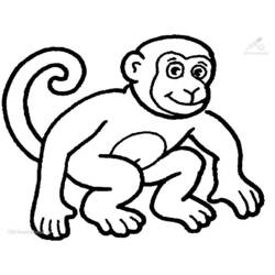 Página para colorir: Chimpanzé (animais) #2788 - Páginas para Colorir Imprimíveis Gratuitamente
