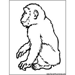 Página para colorir: Chimpanzé (animais) #2794 - Páginas para Colorir Imprimíveis Gratuitamente
