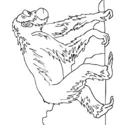 Página para colorir: Chimpanzé (animais) #2796 - Páginas para Colorir Imprimíveis Gratuitamente