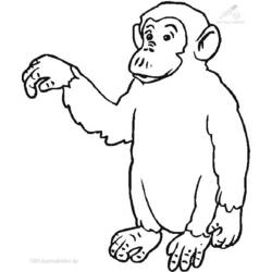 Página para colorir: Chimpanzé (animais) #2805 - Páginas para Colorir Imprimíveis Gratuitamente