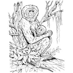 Página para colorir: Chimpanzé (animais) #2833 - Páginas para Colorir Imprimíveis Gratuitamente