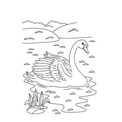 Desenho Cisne (Animais) #185195 para imprimir e colorir