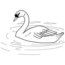 Desenho Cisne (Animais) #185200 para imprimir e colorir