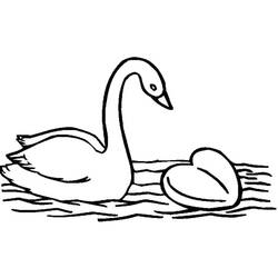 Desenho Cisne (Animais) #185201 para imprimir e colorir