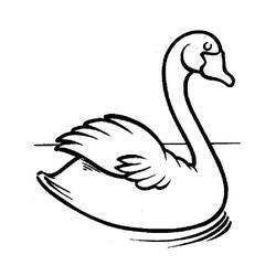 Desenho Cisne (Animais) #185203 para imprimir e colorir