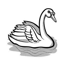Desenho Cisne (Animais) #185205 para imprimir e colorir