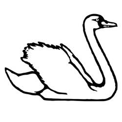 Desenho Cisne (Animais) #185216 para imprimir e colorir
