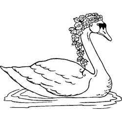 Desenho Cisne (Animais) #185217 para imprimir e colorir