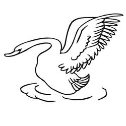 Desenho Cisne (Animais) #185219 para imprimir e colorir