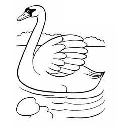 Desenho Cisne (Animais) #185220 para imprimir e colorir