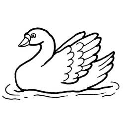 Desenho Cisne (Animais) #185221 para imprimir e colorir