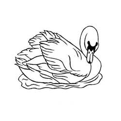 Página para colorir: Cisne (animais) #4993 - Páginas para Colorir Imprimíveis Gratuitamente