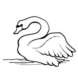 Página para colorir: Cisne (animais) #5002 - Páginas para Colorir Imprimíveis Gratuitamente
