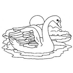 Página para colorir: Cisne (animais) #5014 - Páginas para Colorir Imprimíveis Gratuitamente