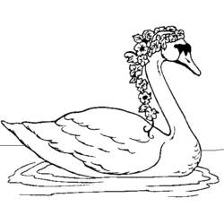 Página para colorir: Cisne (animais) #5026 - Páginas para Colorir Imprimíveis Gratuitamente