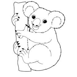 Desenho Coala (Animais) #178762 para imprimir e colorir