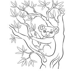 Desenho Coala (Animais) #178768 para imprimir e colorir