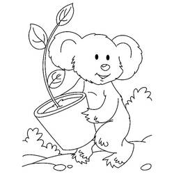 Desenho Coala (Animais) #178771 para imprimir e colorir