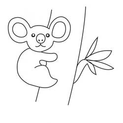 Desenho Coala (Animais) #178784 para imprimir e colorir