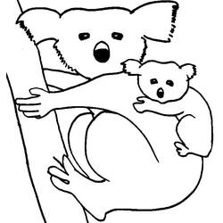 Desenho Coala (Animais) #178790 para imprimir e colorir