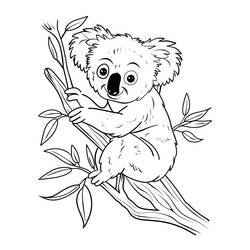 Desenho Coala (Animais) #217739 para imprimir e colorir