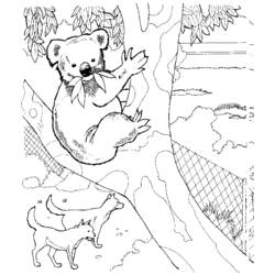 Página para colorir: coala (animais) #9307 - Páginas para Colorir Imprimíveis Gratuitamente