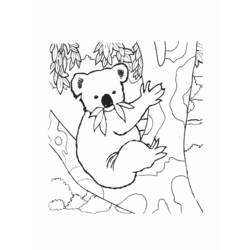 Página para colorir: coala (animais) #9337 - Páginas para Colorir Imprimíveis Gratuitamente