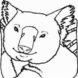 Página para colorir: coala (animais) #9340 - Páginas para Colorir Imprimíveis Gratuitamente