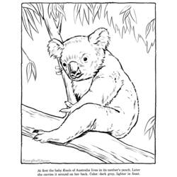 Página para colorir: coala (animais) #9388 - Páginas para Colorir Imprimíveis Gratuitamente