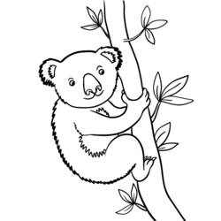 Página para colorir: coala (animais) #9398 - Páginas para Colorir Imprimíveis Gratuitamente