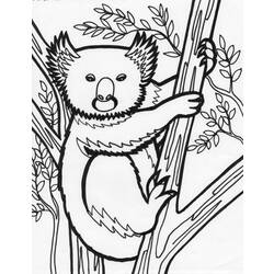 Página para colorir: coala (animais) #9426 - Páginas para Colorir Imprimíveis Gratuitamente