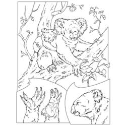Página para colorir: coala (animais) #9427 - Páginas para Colorir Imprimíveis Gratuitamente