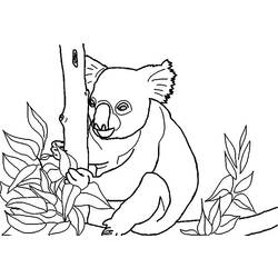 Página para colorir: coala (animais) #9456 - Páginas para Colorir Imprimíveis Gratuitamente