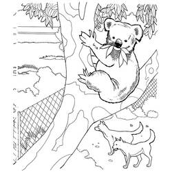 Página para colorir: coala (animais) #9470 - Páginas para Colorir Imprimíveis Gratuitamente